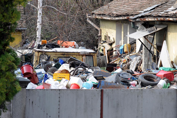Земун: Живе поред депоније и чопора паса

